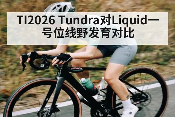 TI2026 Tundra对Liquid一号位线野发育对比